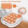 16 Eggs Incubator for Hatching Chicken Professional Poultry Hatcher with Digital Display Temperature Humidity Control Automatic Egg Turning