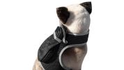 Keep Pet Safe with Pet Tracker GPS Dog Collar Tracking Device + Phone App Size:L